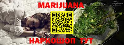 не бодяженный Гатчина